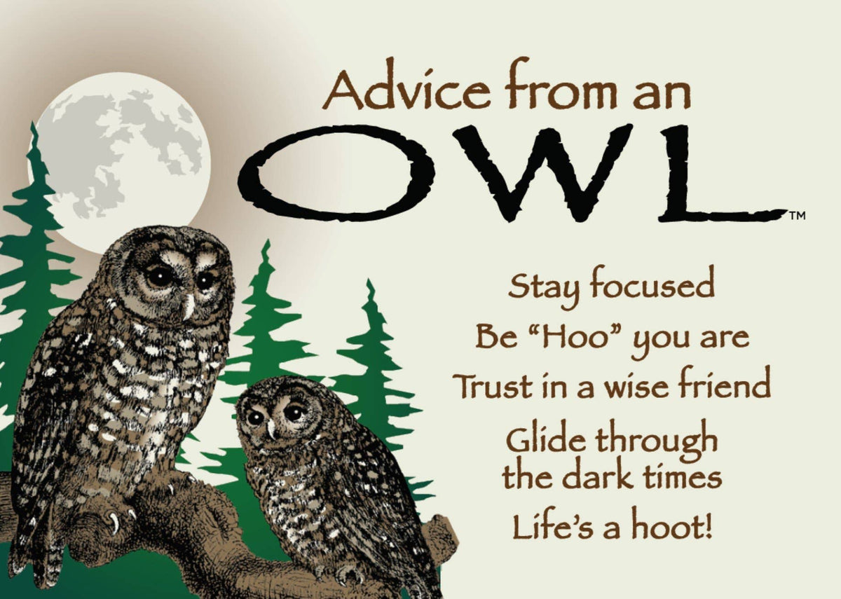 Advice from an Owl Jumbo Magnet – Woodford Cedar Run Wildlife Refuge
