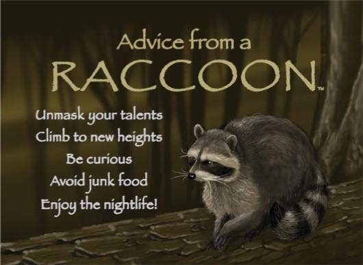 Advice from a Raccoon Jumbo Magnet – Woodford Cedar Run Wildlife Refuge