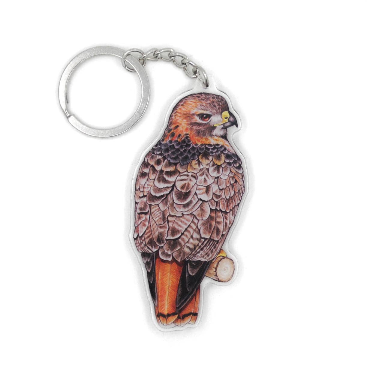 Red-Tailed Hawk Double-Sided Acrylic Keychain