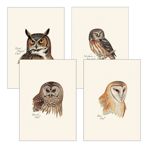 Illustrated 8-pack Boxed Notecard Sets