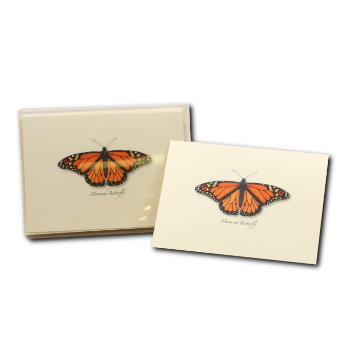 Illustrated 8-pack Boxed Notecard Sets