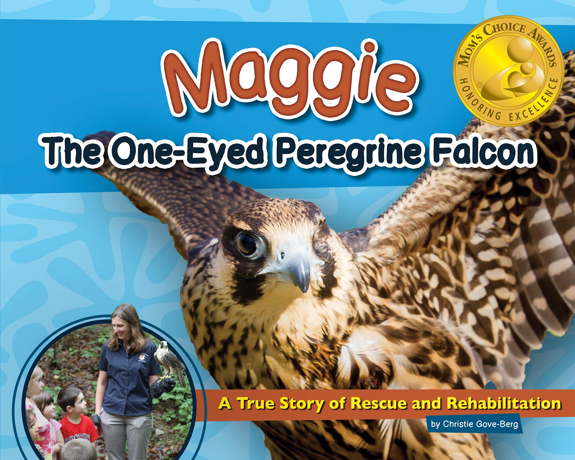 Maggie: The One-Eyed Peregrine Falcon