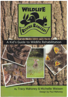 SALE- Wildlife Rescue Rangers Book and Patch