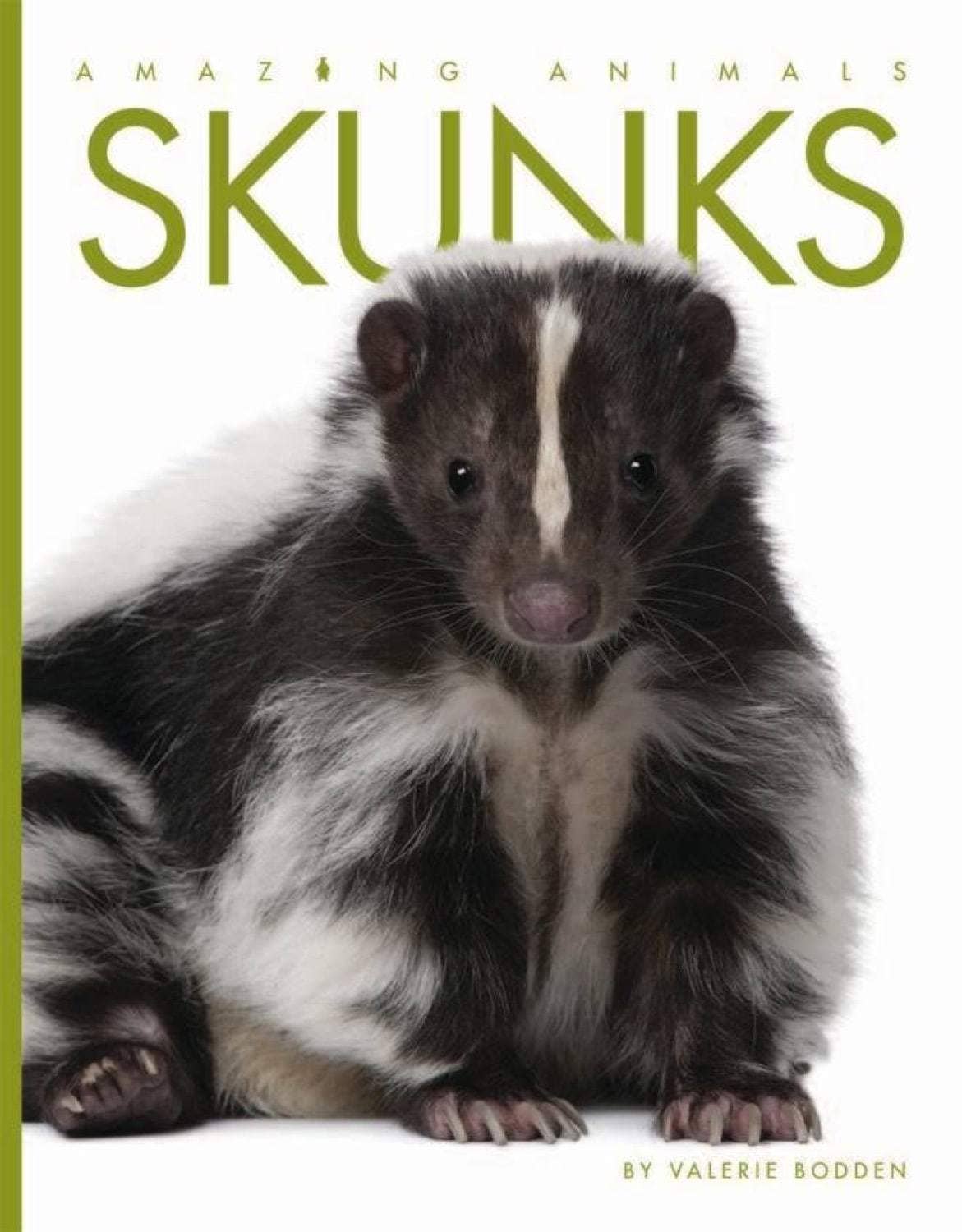 Amazing Animals: Skunks