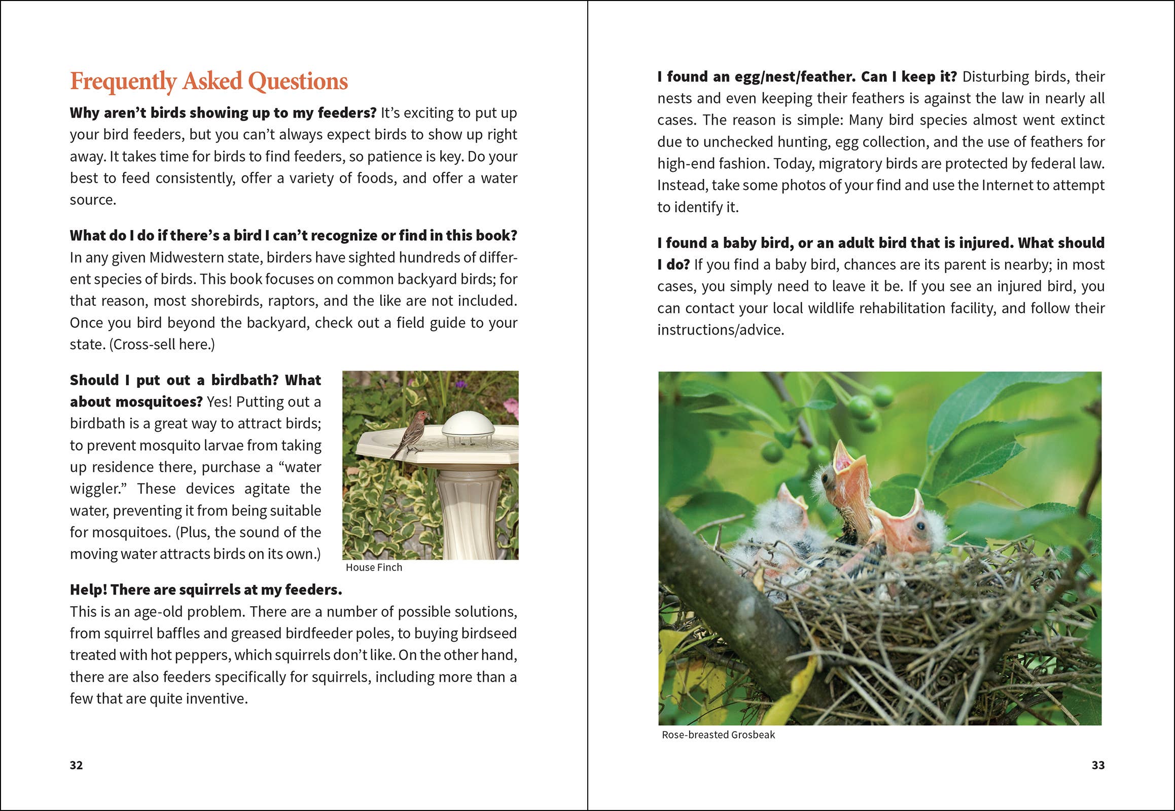 Stan Tekiela Birding Beginners: Northeast