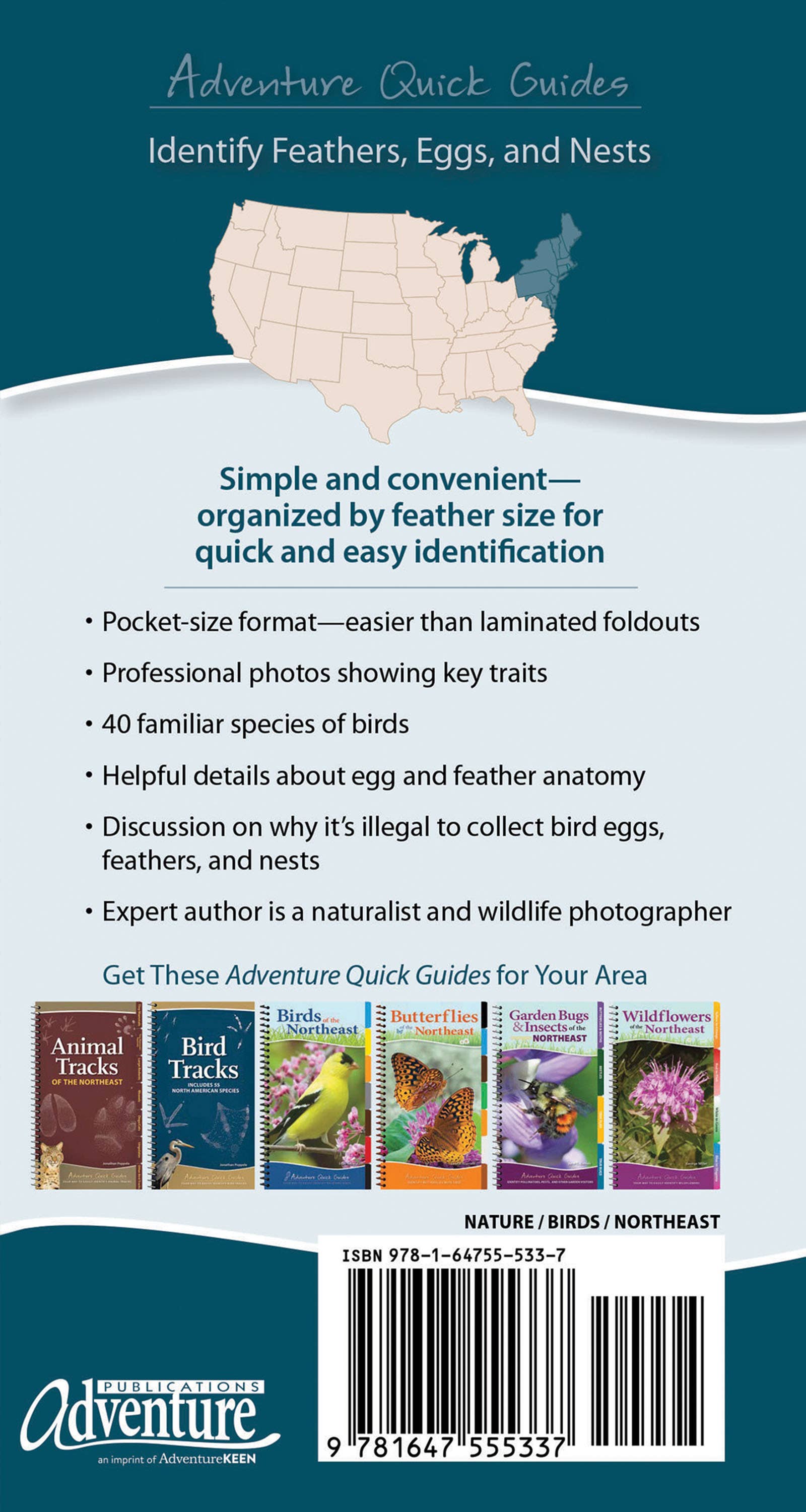 Bird Feathers & Eggs of the Northeast Quick Guide