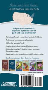 Bird Feathers & Eggs of the Northeast Quick Guide