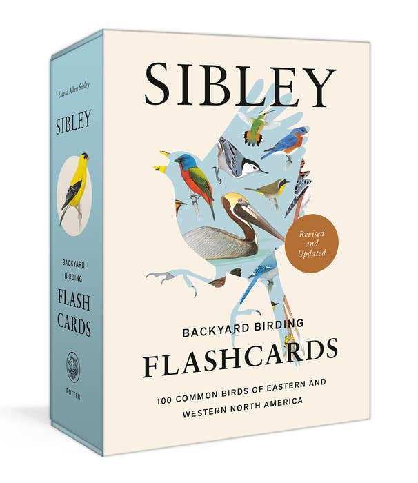 Sibley Backyard Bird Flashcards
