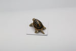 Load image into Gallery viewer, Box Turtle Porcelain Miniature
