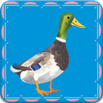 Load image into Gallery viewer, Birds Little Memory &amp; Matching Game
