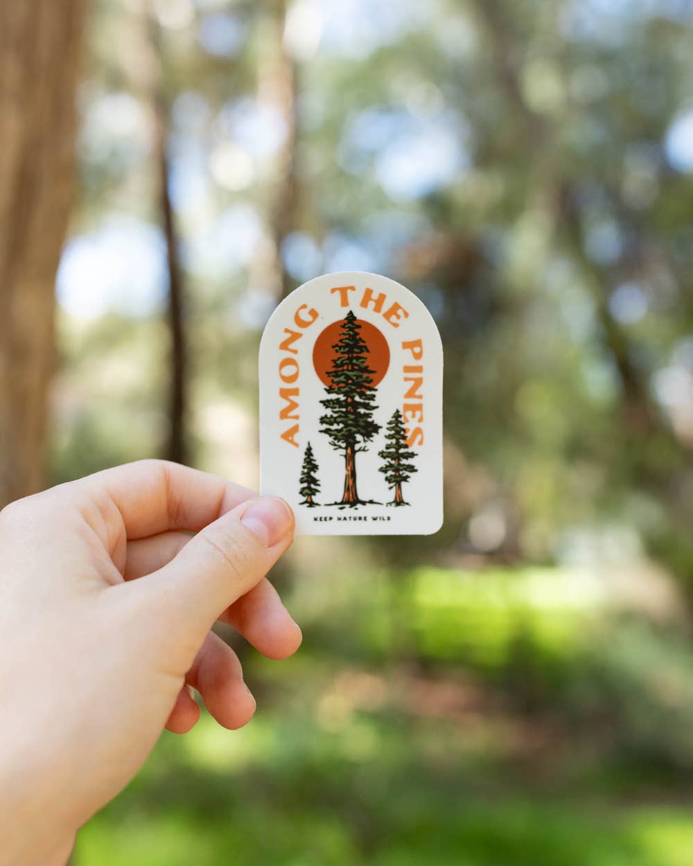 Among the Pines Sticker