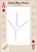 Load image into Gallery viewer, Animal Tracks of the Northeast Playing Cards
