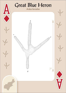 Animal Tracks of the Northeast Playing Cards