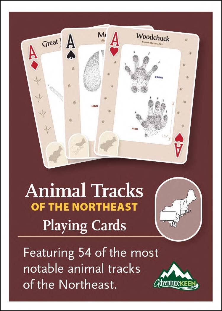 Animal Tracks of the Northeast Playing Cards