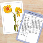 Load image into Gallery viewer, New York Botanical Garden Wildflower ID Flashcards
