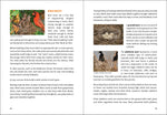 Load image into Gallery viewer, Stan Tekiela Birding Beginners: Northeast
