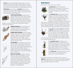 Load image into Gallery viewer, Bird Feathers &amp; Eggs of the Northeast Quick Guide
