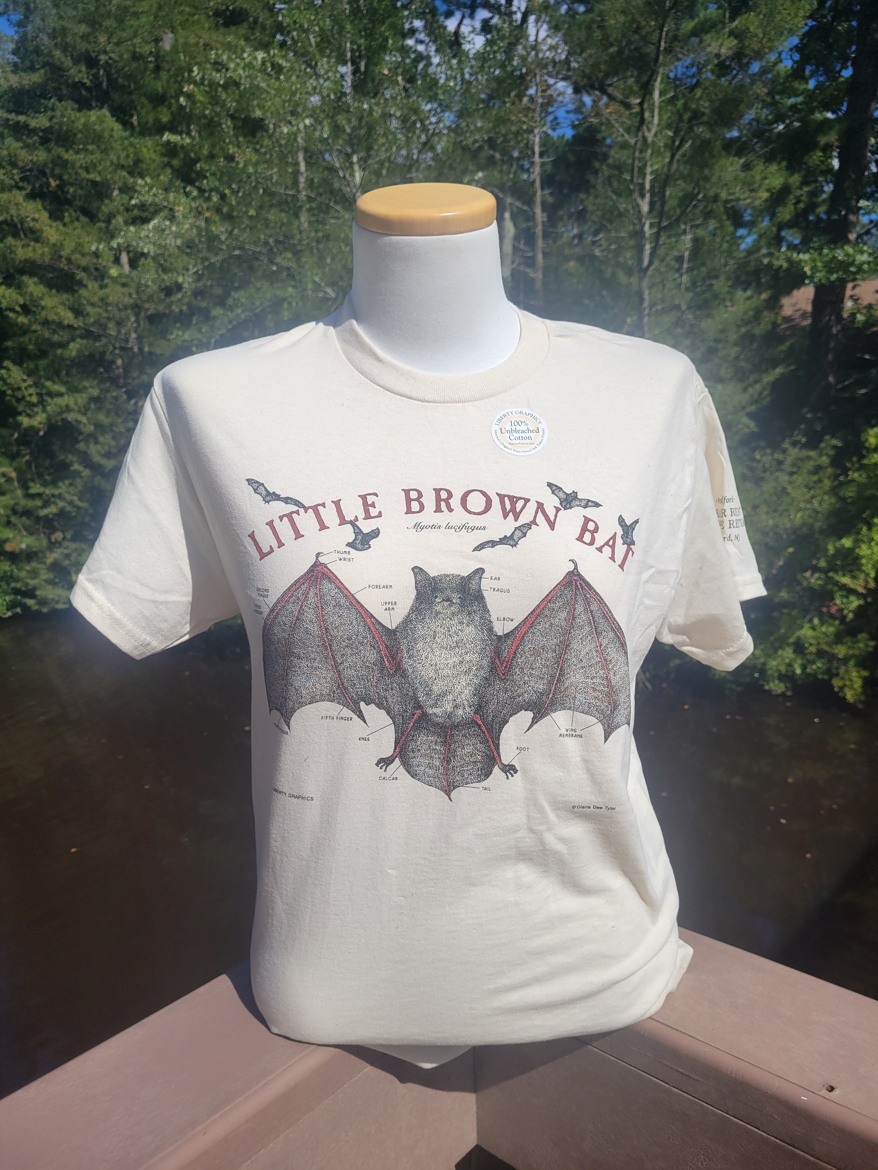 SALE- Little Brown Bat T-Shirt