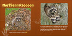 Load image into Gallery viewer, Forest Mamas &amp; Babies
