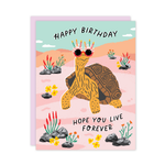 Load image into Gallery viewer, Turtle Birthday Card
