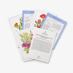 Load image into Gallery viewer, New York Botanical Garden Wildflower ID Flashcards
