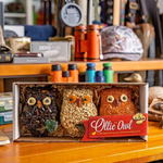 Load image into Gallery viewer, Owl Birdseed Ornament - 3 Pack
