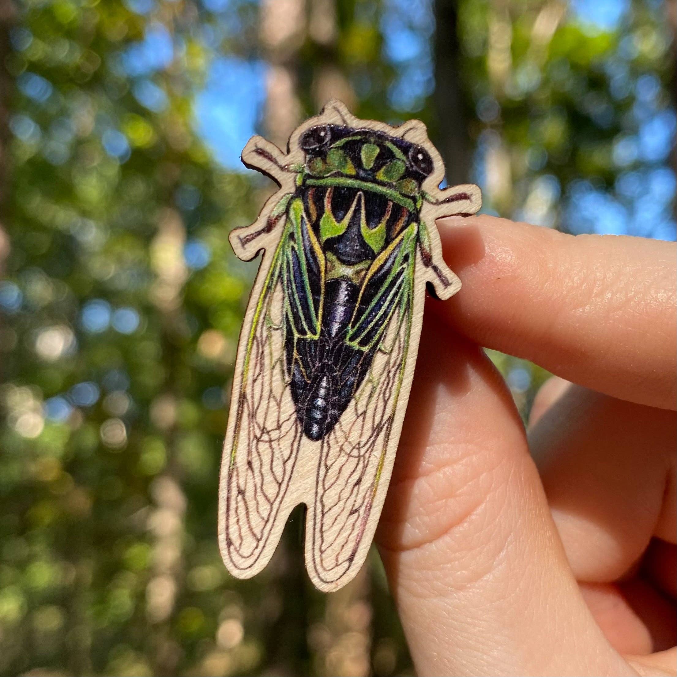 Linne's Cicada Wooden Pin