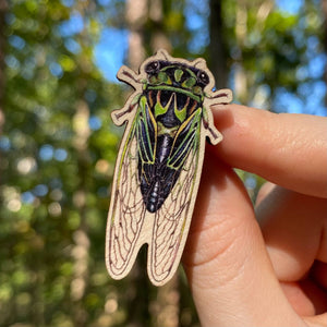 Linne's Cicada Wooden Pin