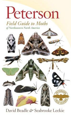 Peterson Field Guide to Moths : David Beadle