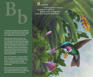 F is for Feathers picture book: A Bird Alphabet