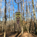 Load image into Gallery viewer, Cicada Acrylic Keychain
