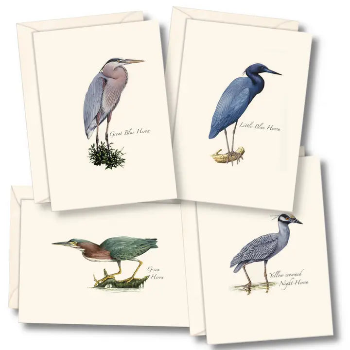 Illustrated 8-pack Boxed Notecard Sets