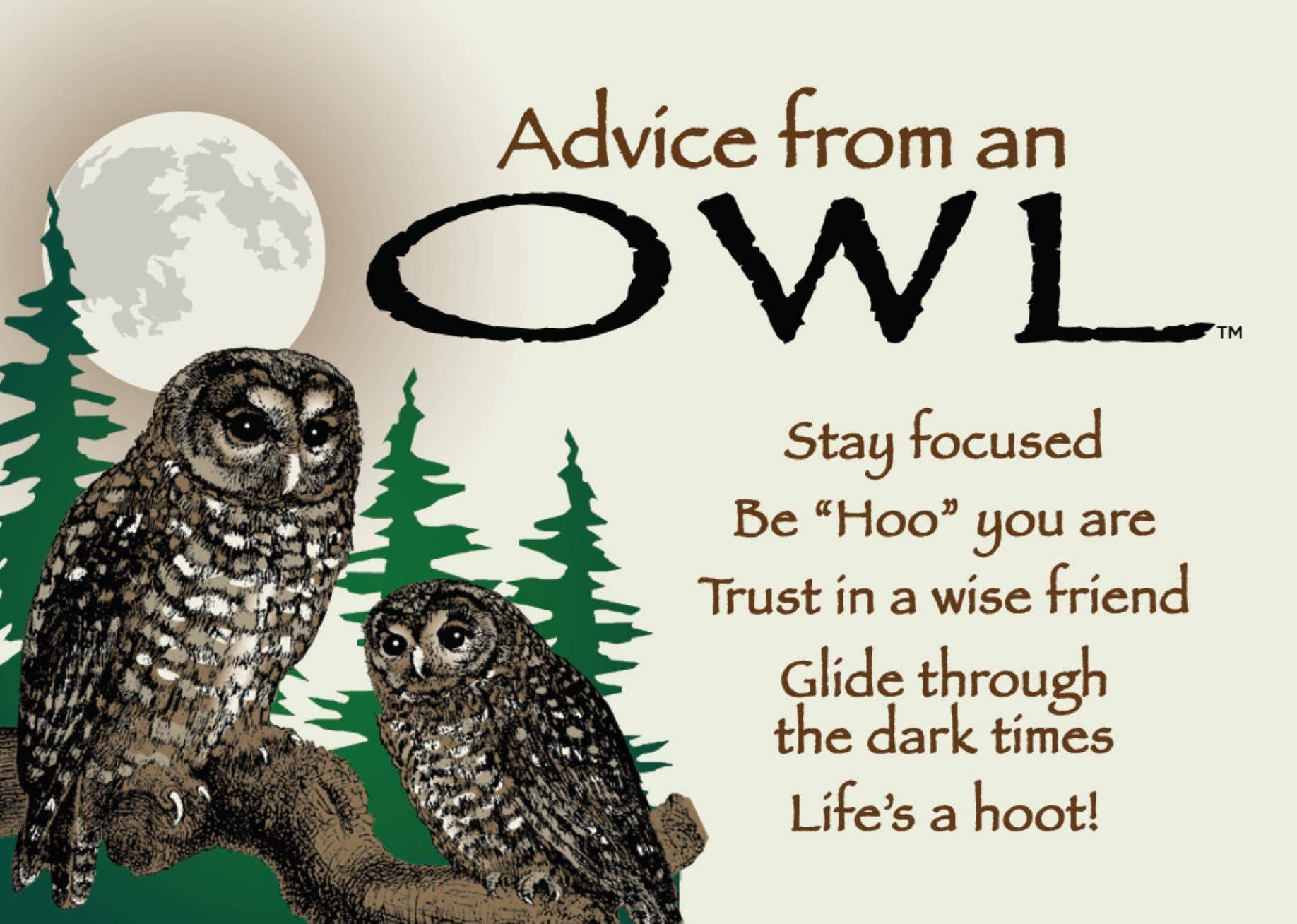 Advice from an Owl Jumbo Magnet