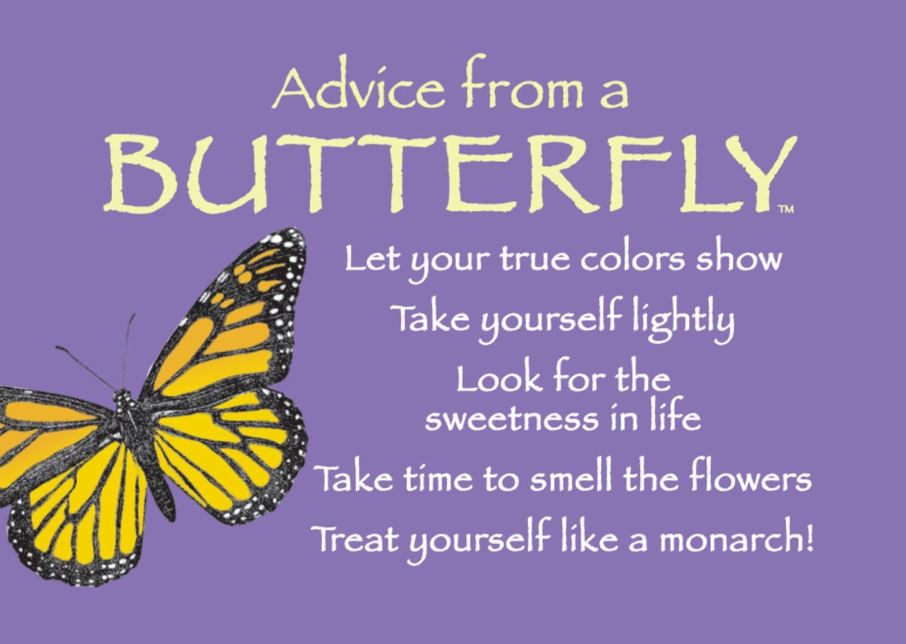 Advice from a Butterfly Jumbo Magnet