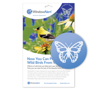 WindowAlert Butterfly Decals