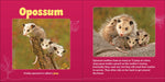 Load image into Gallery viewer, Forest Mamas &amp; Babies
