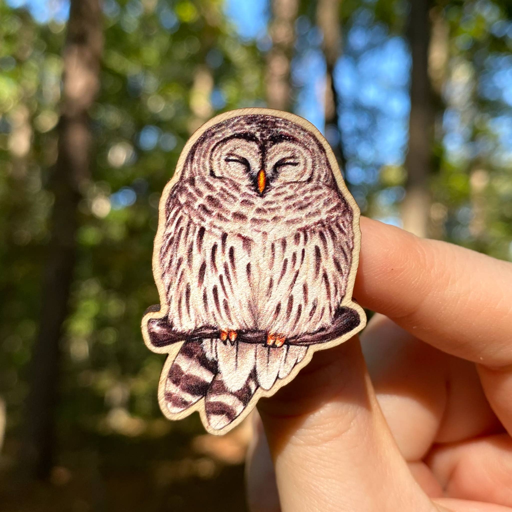 Cozy Barred Owl Wooden Pin