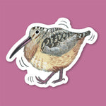 Load image into Gallery viewer, Woodcock Sticker
