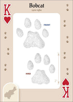 Load image into Gallery viewer, Animal Tracks of the Northeast Playing Cards
