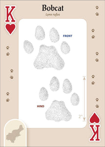 Animal Tracks of the Northeast Playing Cards