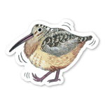 Load image into Gallery viewer, Woodcock Sticker
