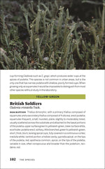 Load image into Gallery viewer, Urban Lichens: A Field Guide for Northeastern North America
