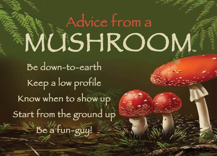 Advice from a Mushroom Jumbo Magnet – Woodford Cedar Run Wildlife Refuge