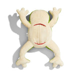 Load image into Gallery viewer, Froggie Dissection Lab, Anatomy Learning Toy for Kids
