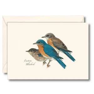 Illustrated 8-pack Boxed Notecard Sets