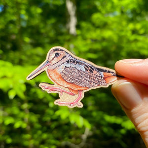 American Woodcock Pin