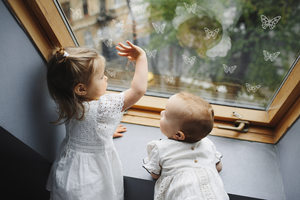 WindowAlert Butterfly Decals