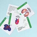 Load image into Gallery viewer, Froggie Dissection Lab, Anatomy Learning Toy for Kids
