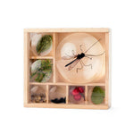 Load image into Gallery viewer, HUCKLEBERRY MY LITTLE MUSEUM
