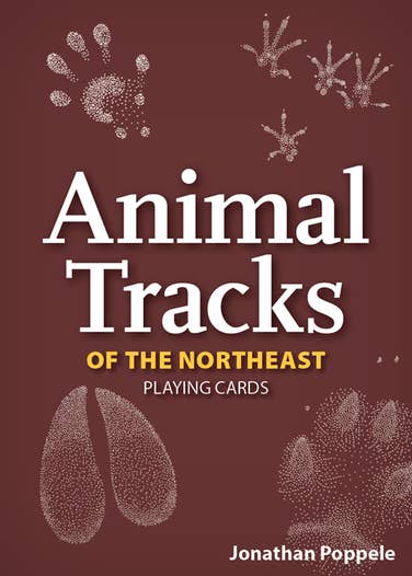 Animal Tracks of the Northeast Playing Cards